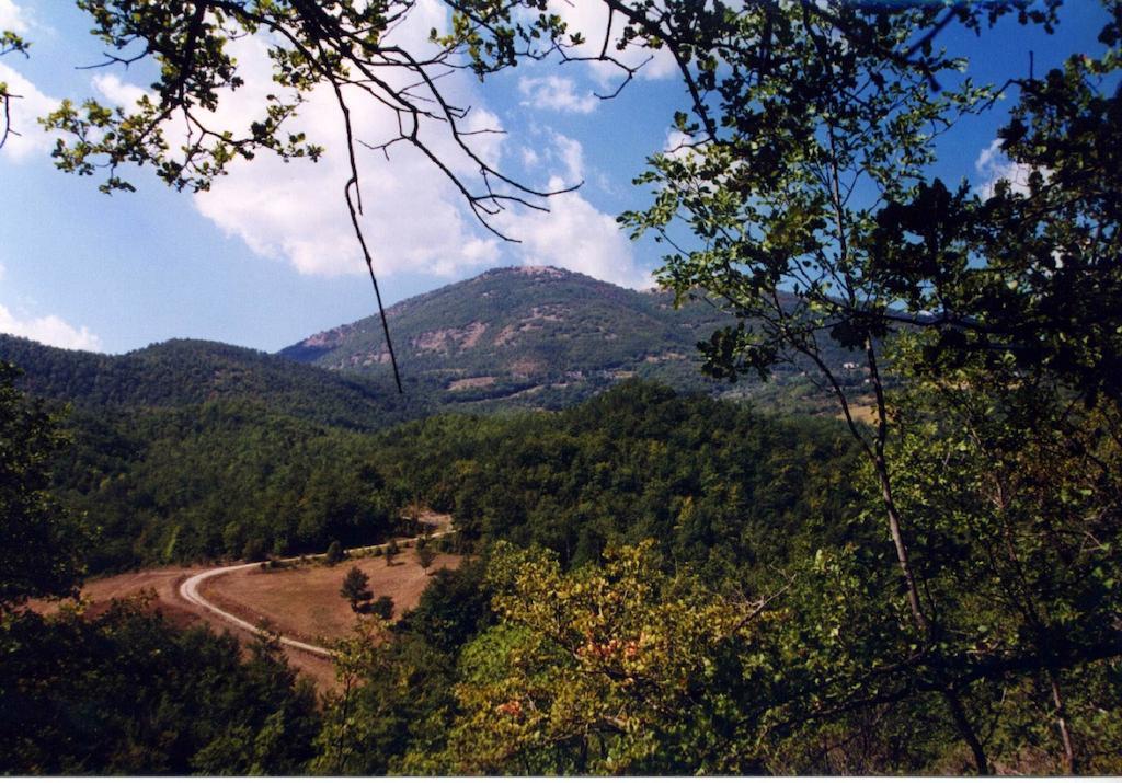 Agriturismo Monte Acuto Umbertide Ngoại thất bức ảnh