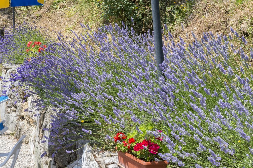 Agriturismo Monte Acuto Umbertide Ngoại thất bức ảnh